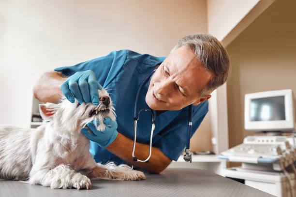 Best Emergency Dental Extractions in Verdigris, OK